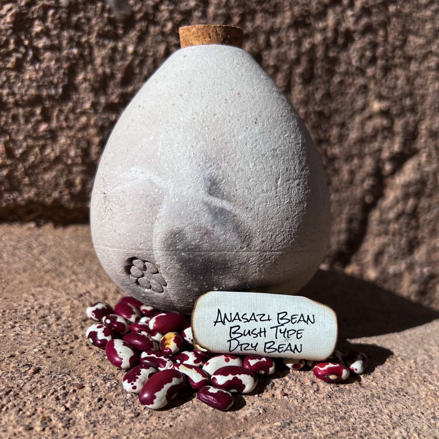 Anasazi Bean, Half-Runner, Dry Bean
