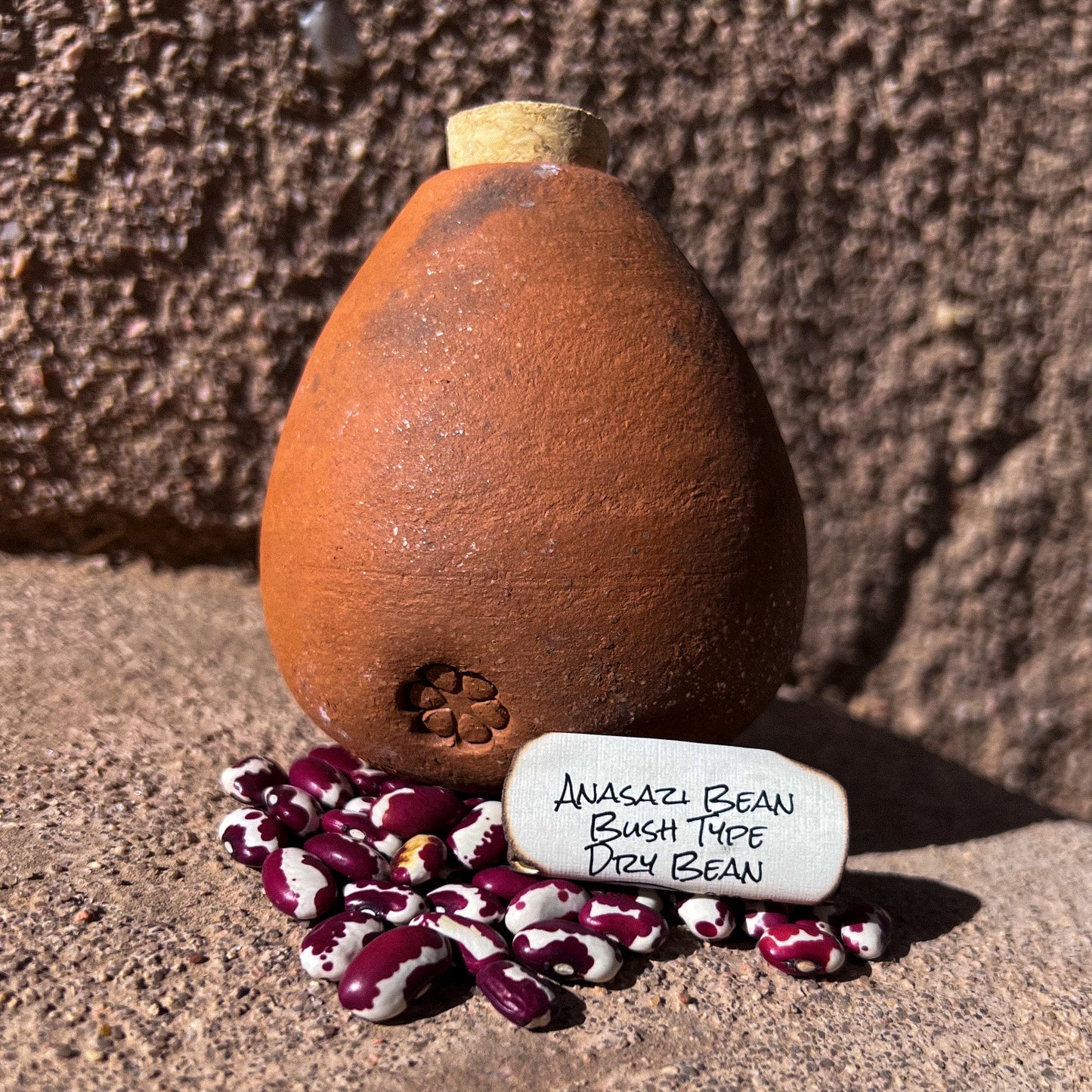 Anasazi Bean, Half-Runner, Dry Bean
