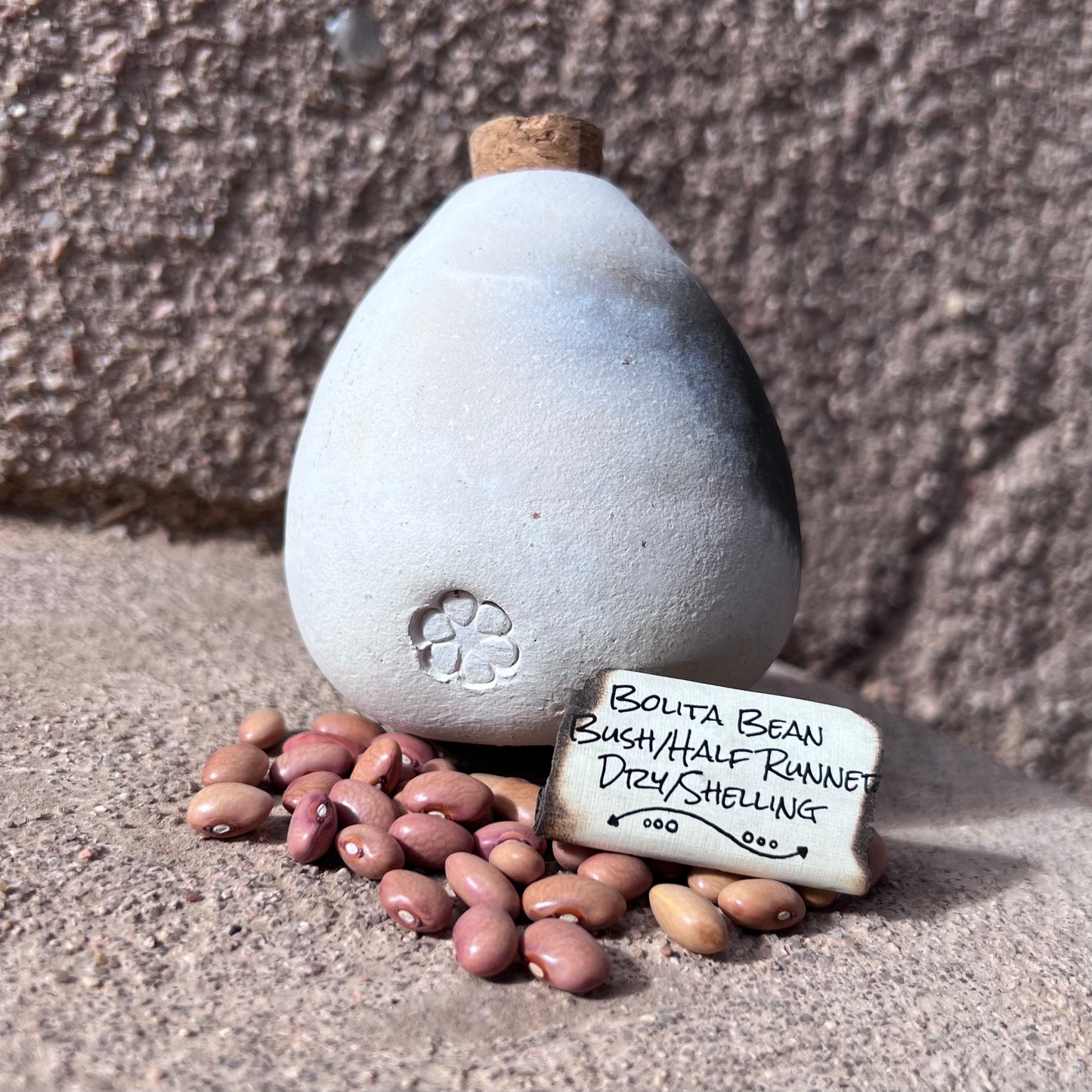 Bolita Bean, Half Runner, Dry Bean
