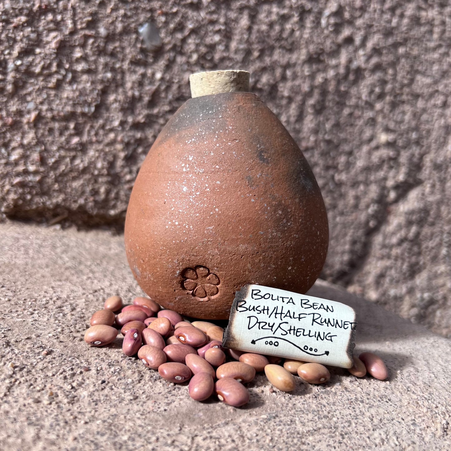 Bolita Bean, Half Runner, Dry Bean