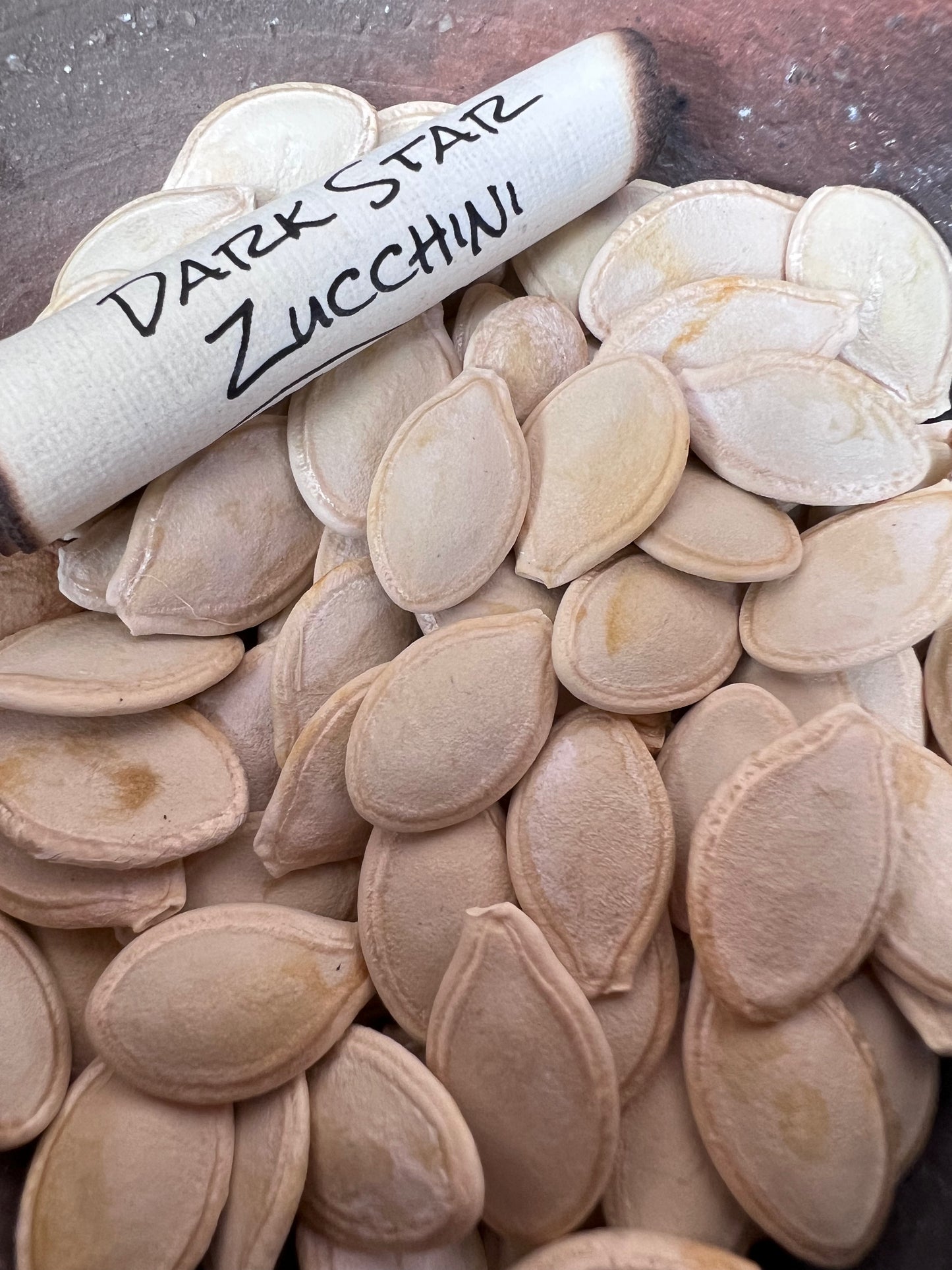 Dark Star Zucchini