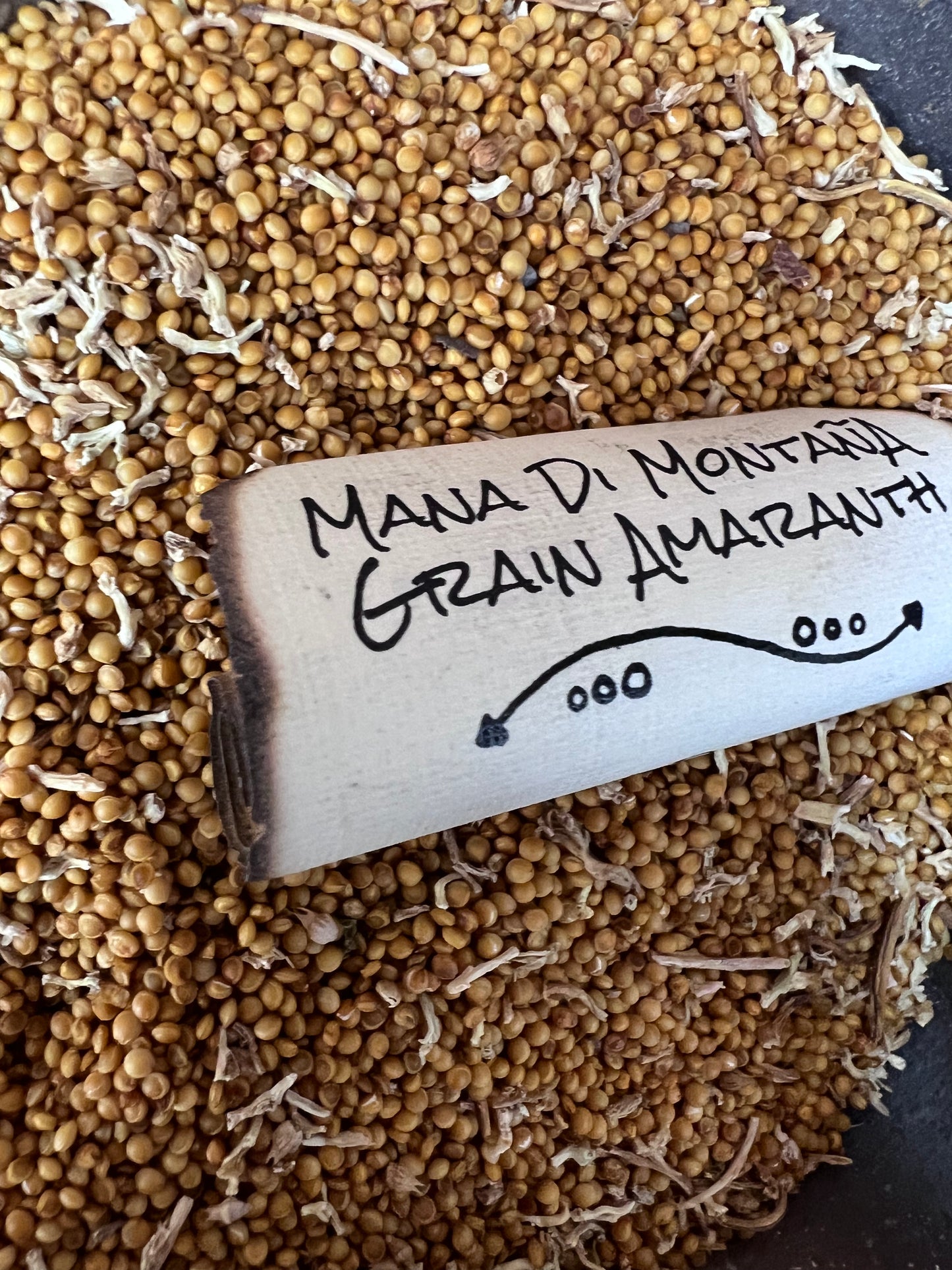 Mana Di Montana Grain Amaranth