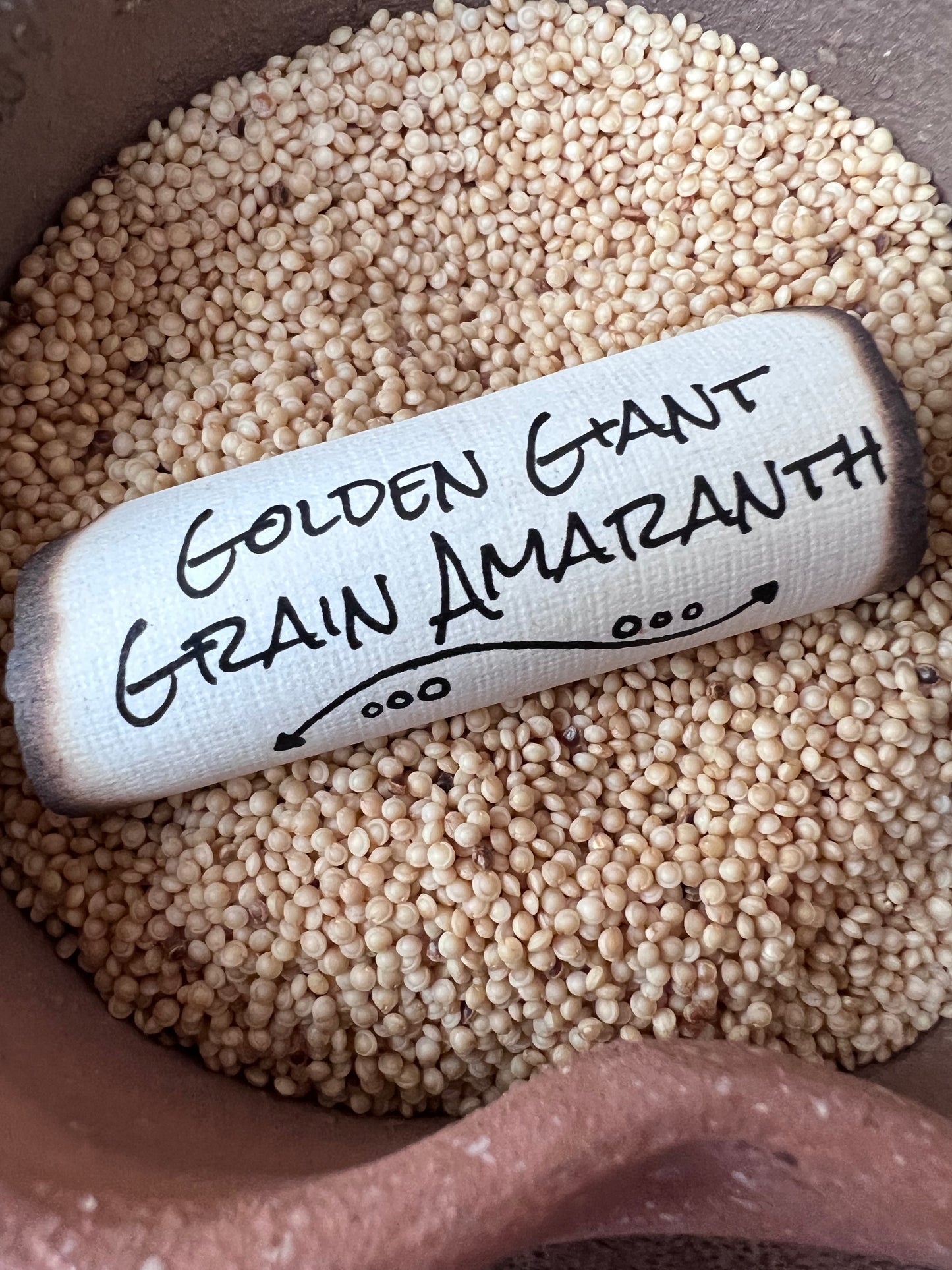 Golden Giant Grain Amaranth