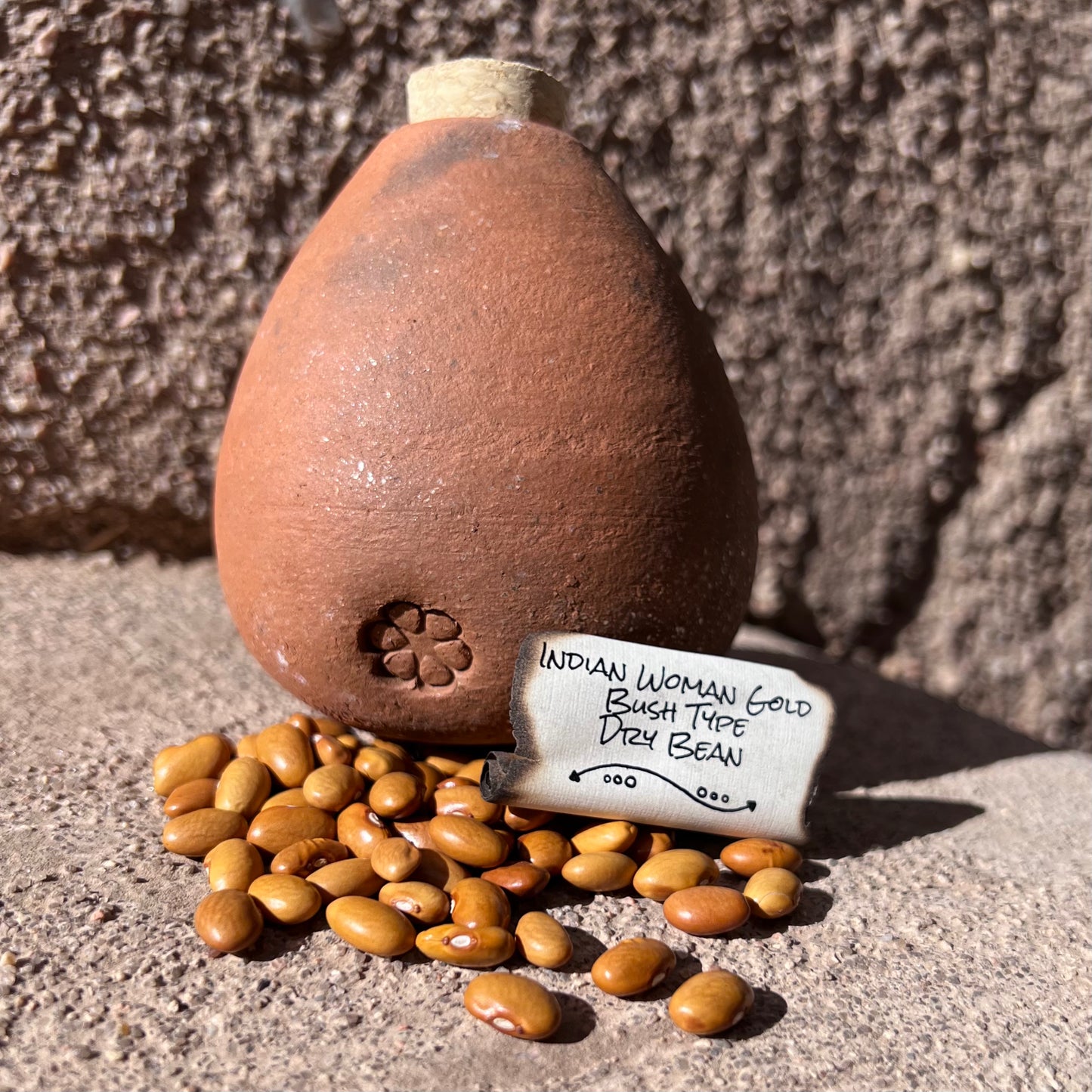Indian Woman Gold, Half-Runner, Dry Bean