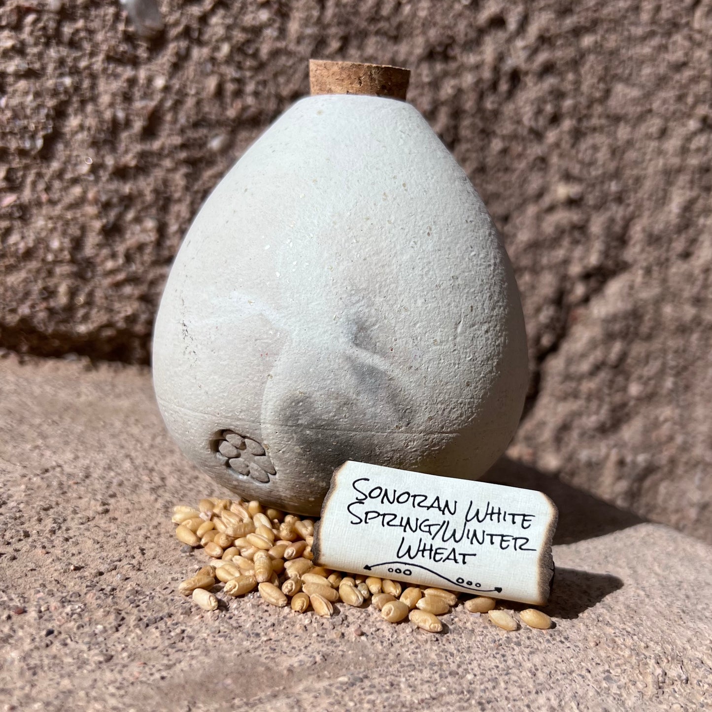 Sonoran White Spring Wheat