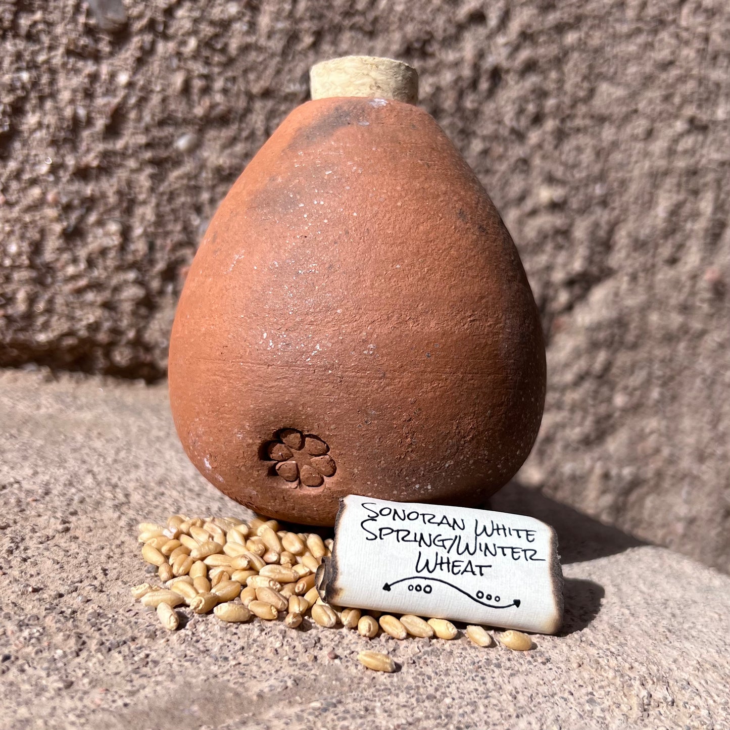 Sonoran White Spring Wheat