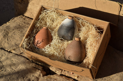 Lineage Seeds Wheat Set