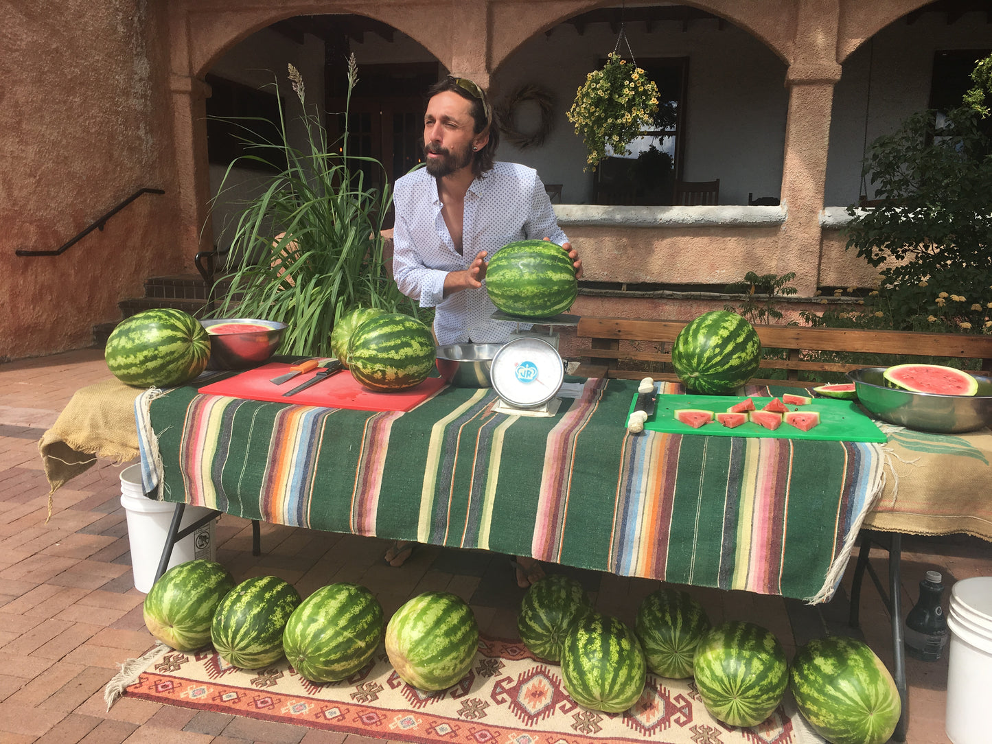 Sweet Dakota Rose Watermelon