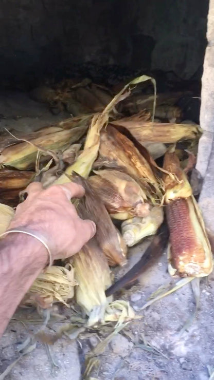 Double Standard Sweet Corn