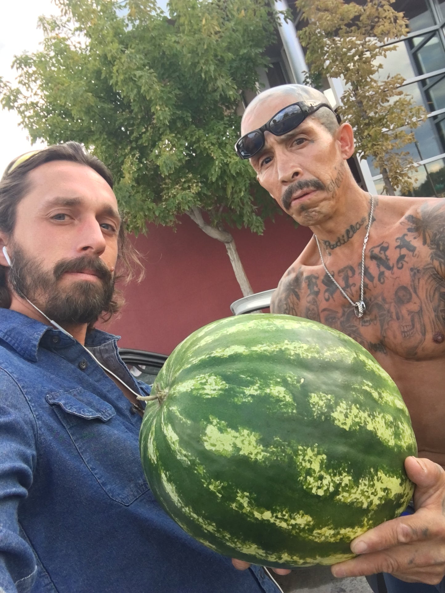Sweet Dakota Rose Watermelon
