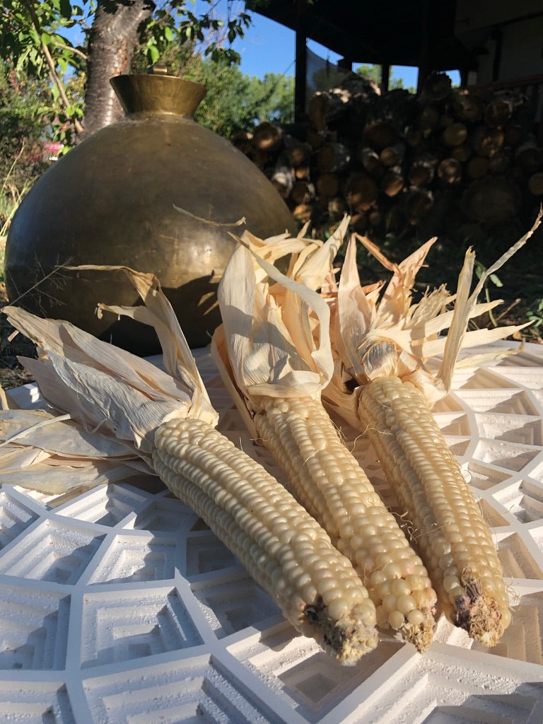 Concho White Tortilla Corn