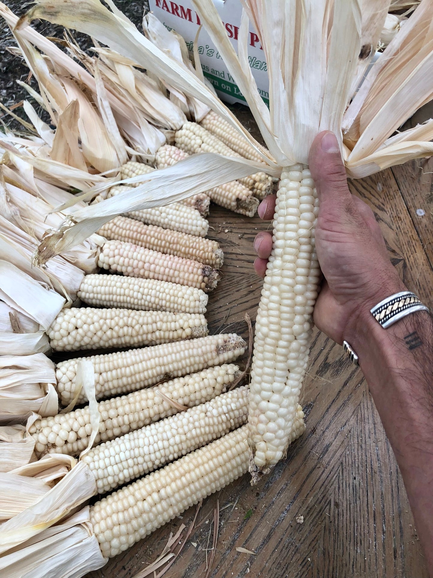 Concho White Tortilla Corn