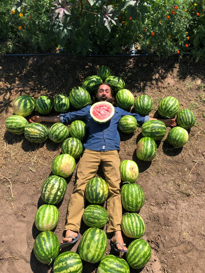 Sweet Dakota Rose Watermelon