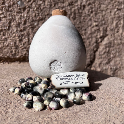 Chihuahua Blue Tortilla Corn