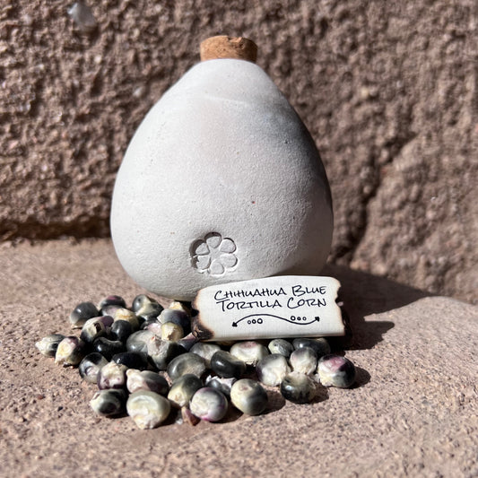 Chihuahua Blue Tortilla Corn