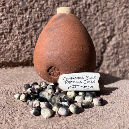 Chihuahua Blue Tortilla Corn