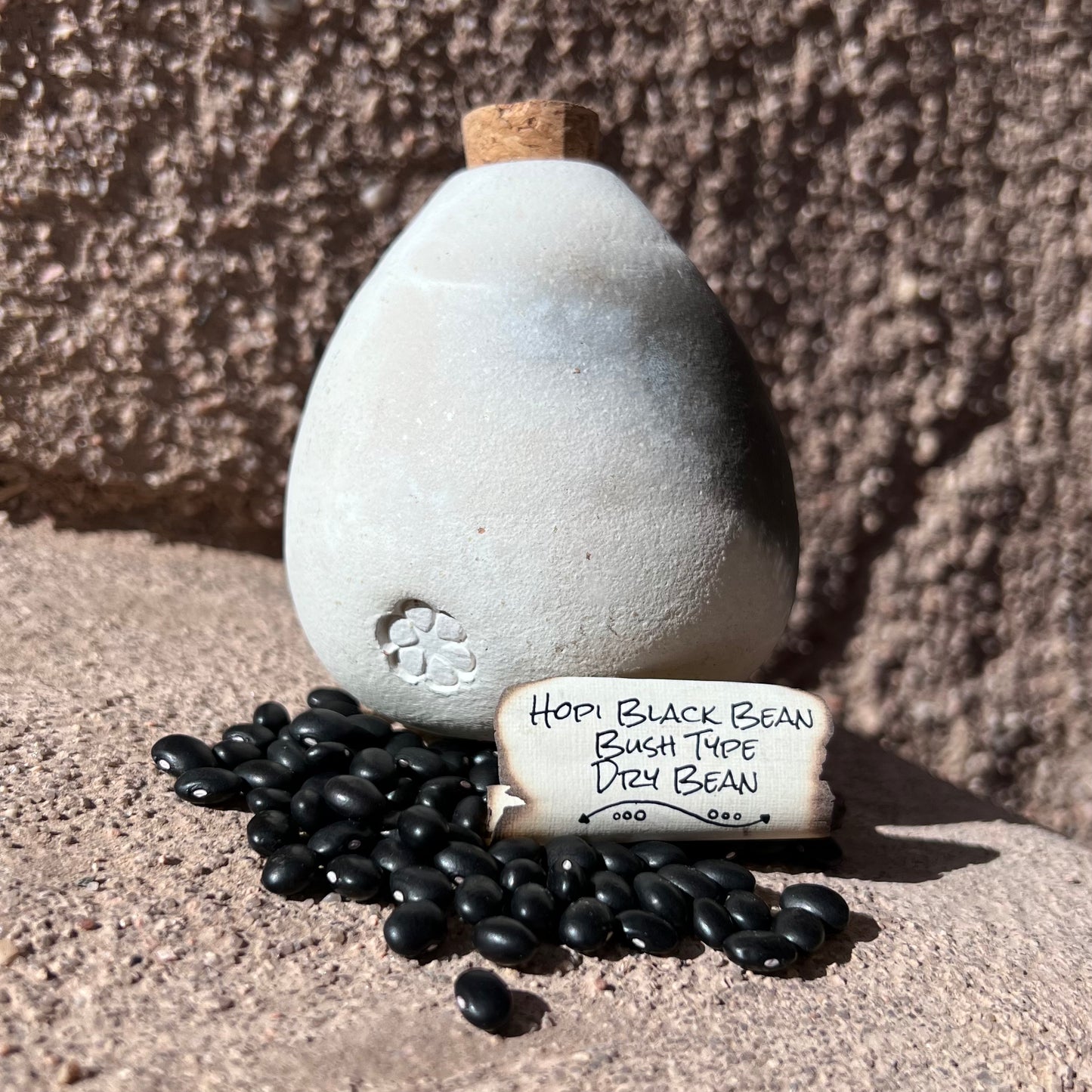 Hopi Black Bean, Half- Runner, Dry Bean