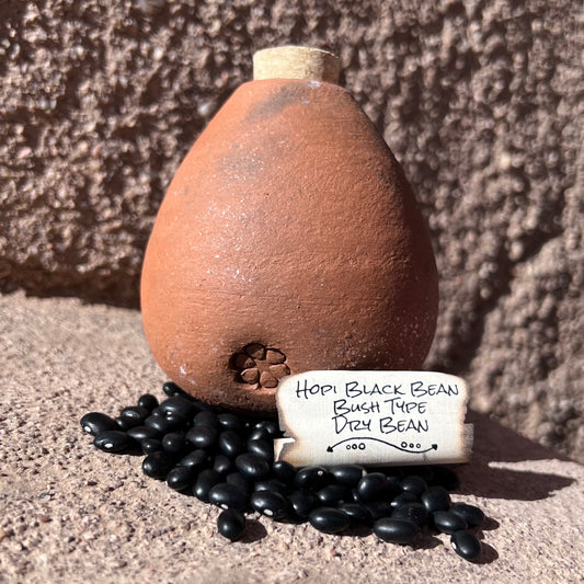 Hopi Black Bean, Half- Runner, Dry Bean