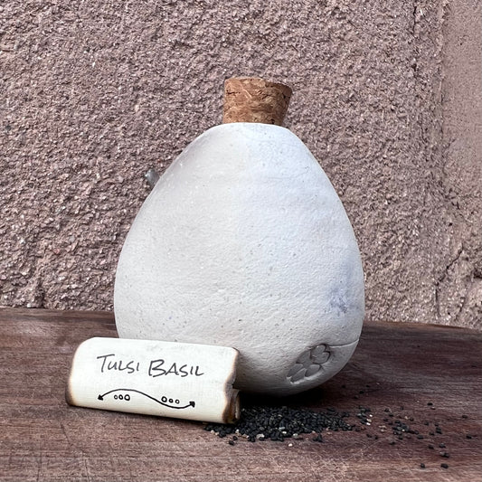 Tulsi Basil