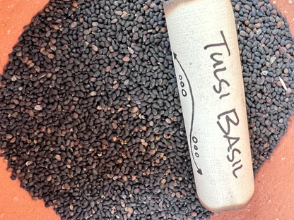 Tulsi Basil