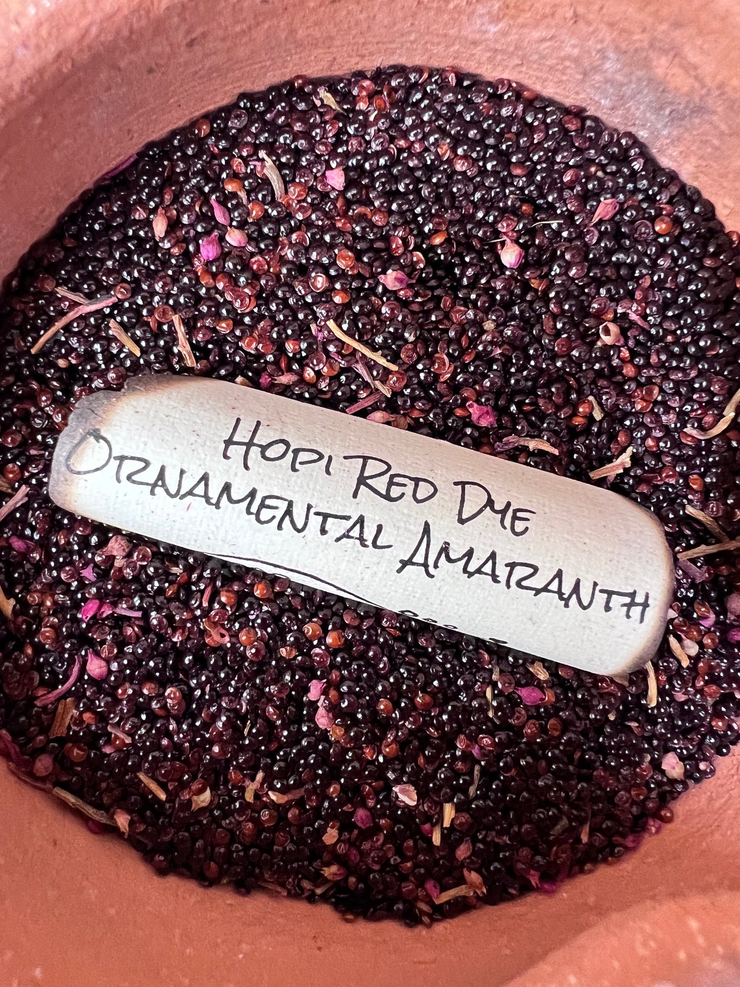 Hopi Red Dye Ornamental Amaranth