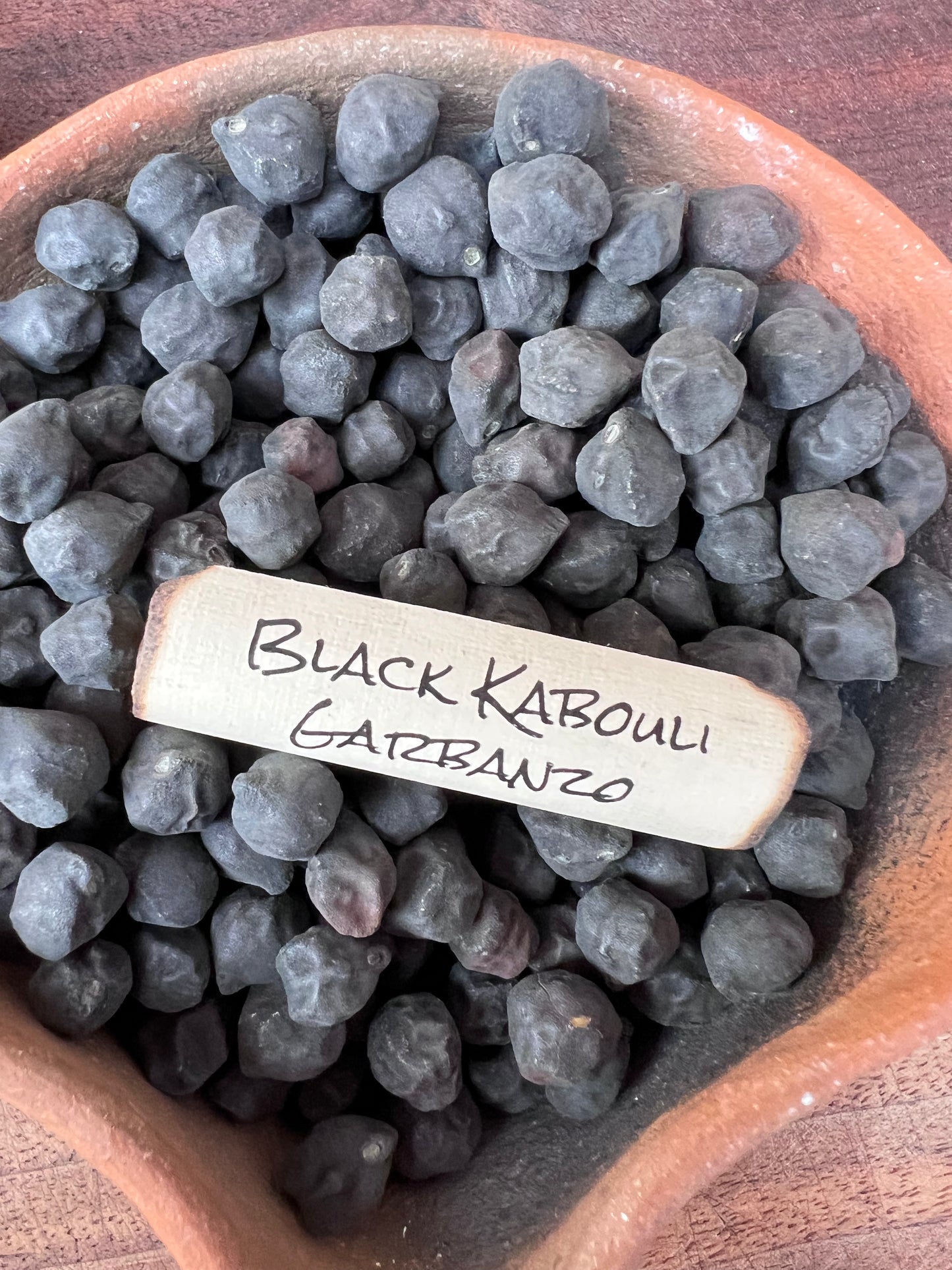 Black Kabouli Garbanzo aka Chickpea