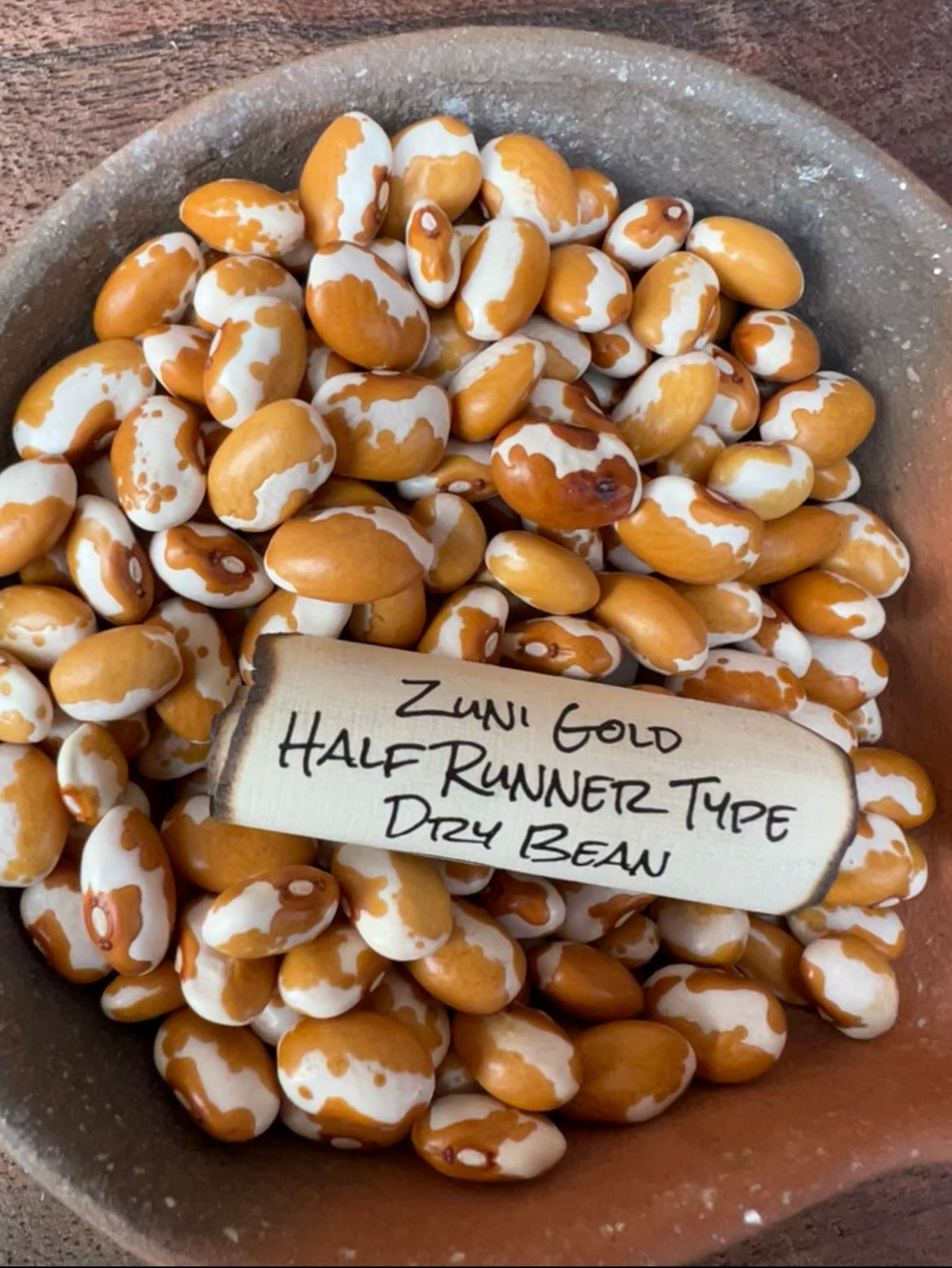 Zuni Gold, Half-Runner Dry Bean